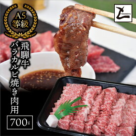 【ふるさと納税】AB-5 A5飛騨牛バラカルビ焼肉用700g
