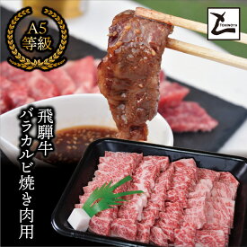 【ふるさと納税】AB-30 A5飛騨牛バラカルビ焼き肉用12か月コース