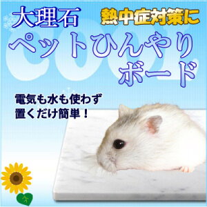 yӂ邳Ɣ[ŁznX^[Ђ嗝΃}bg 14×10Z` C^AY rARJ[y1287891z
