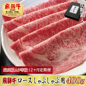 yӂ邳Ɣ[Łzyցzϔ ōA5 ˋ [XԂԗp 400g@S12yzsnFzy4053820z