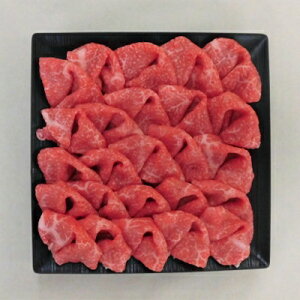 yӂ邳Ɣ[ŁzA5 ˋؗ500g(Ⓚ)yzsnFzy1134703z
