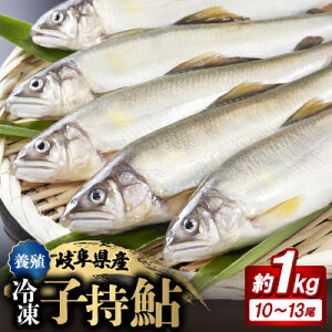 yӂ邳Ɣ[Łz򕌂̈@Ⓚq(1kg:10`13)yzsnFzy1617821z