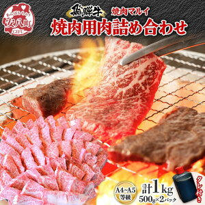 yӂ邳Ɣ[Łzˋ ēp A4`A5gp 1kg 500g×2pbN   a uh  r[t A4N A5N Y  J  O ē BBQ p[eB[ Mtg 