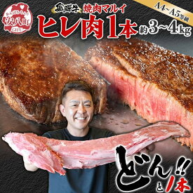 【ふるさと納税】飛騨牛 ヒレ肉 ブロック A4～A5等級 1本 約3～4kg 3～4分割 ヒレ シャトーブリアン 肉 牛肉 ブランド牛 お肉 和牛 贅沢 お取り寄せ ご褒美 ステーキ 豪華 グルメ 焼肉 BBQ パーティー ギフト 贈り物 自家用 贈答用 焼肉マルイ 岐阜県 【 安八町 】
