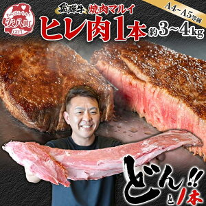 yӂ邳Ɣ[Łzˋ q ubN A4`A5 1{ 3`4kg 3`4 q Vg[uA   uh  a ґ  J Xe[L  O ē BBQ p[e