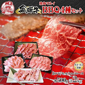【ふるさと納税】焼肉マルイ 串付き 飛騨牛BBQセット 約2kg 焼肉 串焼き BBQ セット カルビ ヒレ肉 モモ肉 ロース肉 お肉 肉 お家で簡単 本格 国産 国産牛 牛 牛肉 和牛 秘伝のたれ タレ付き 焼くだけ簡単 お取り寄せグルメ 送料無料 岐阜県 安八町