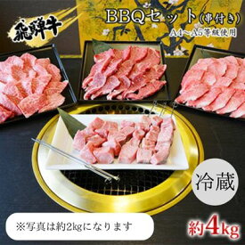 【ふるさと納税】串付き　飛騨牛BBQセット約4kg（A4～A5等級使用）　【 お肉 牛肉 国産 バーベキュー ブランド和牛 お家焼肉 カルビ モモ 赤身 柔らかい ヒレ 霜降り 牛肉の女王様 旨み 真空パック 冷蔵 タレ付き 】