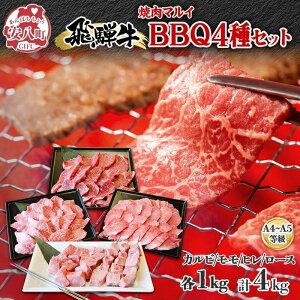 yӂ邳Ɣ[Łzē}C t ˋBBQZbg 4kg ē Ă BBQ Zbg Jr q  [X   ƂŊȒP {i Y Y   a `̂ ^t 