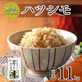 【ふるさと納税】＜先行予約＞R7年産 特選米 ハツシモ 玄米 11kg ×1袋 お米 米 ごはん 新米 ご飯 はつしも 令和7年産 ブランド米 低農薬 お取り寄せ 産地直送 クリーンファームまき 送料無料 岐阜県 安八町　お届け：2025年12月中旬～2026年11月下旬