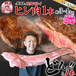 yӂ邳Ɣ[Łz 12 ˋ q 1{ A4`A5 3`4kg 3×6 q Vg[uA   uh  a ґ  J Xe[L  O ē BBQ Mt