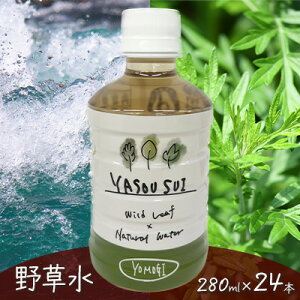 yӂ邳Ɣ[ŁzYASOUSUI @1P[Xi280ml×24{j 쑐  ~lEH[^[ M  쑐 