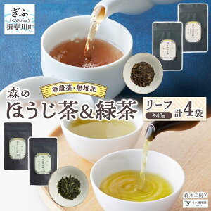 �y�ӂ邳�Ɣ[�Łz�X�{�H�[ �X�̂ق�����&�Β� ���[�t �e2�܃Z�b�g ������ �ق����� �Β� ���{�� ���� �O���[���e�B�[ �e�B�[ �� ���� ���t �������ݕ� �A�C�X �z�b�g �}�{ ���o�� ����ڂډ� 