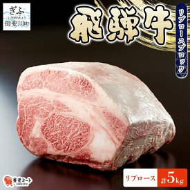 【ふるさと納税】飛騨牛 リブロース ブロック 5kg 塊肉 和牛 黒毛和牛 牛肉 肉 ステーキ ローストビーフ 厚切りステーキ 焼肉 大容量 国産 国産牛 グルメ ギフト お取り寄せ 贈り物 送料無料 冷凍 養老ミート 岐阜県 揖斐川町