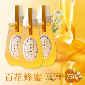 【ふるさと納税】百花蜂蜜 750g（とんがり容器250g×3本）岐阜県産 国産 自慢の一品 ハチミツ 無添加 純粋はちみつ ハニー【オノギ養蜂】