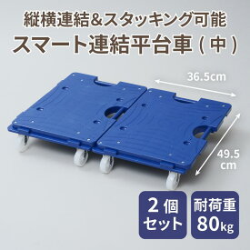 【ふるさと納税】スマート連結平台車（中）2台セット | 雑貨 日用品 人気 おすすめ 送料無料 スポーツ アウトドア 折りたたみ 日用品 電気製品 カー用品 連結平台車 大野町 セット
