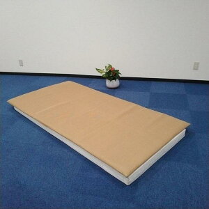 yӂ邳Ɣ[Łzing@}bgX@uXGA[(R)gp@ixbgpbg^Cv@VOj