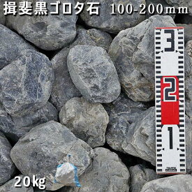 【ふるさと納税】庭石 揖斐黒ゴロタ石（100-200mm）1袋（約20kg）自然石 川石 玉石