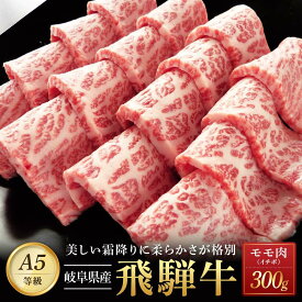 【ふるさと納税】飛騨牛「希少部位」A5 イチボ 焼肉用 300g｜国産 肉 牛肉 焼肉 和牛 黒毛和牛 グルメ おすすめ AD103 【飛騨牛 和牛ブランド 飛騨牛 黒毛和牛 飛騨牛 岐阜 大野町 飛騨牛】