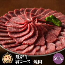【ふるさと納税】飛騨牛 肩ロース 500g 焼肉 | 肉 お肉 にく 食品 飛騨牛 牛肉 肩ロース ロース 焼肉 人気 おすすめ 送料無料