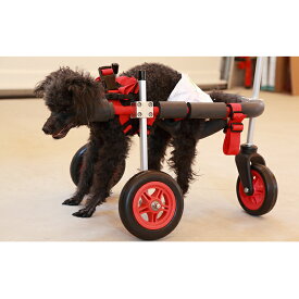 楽天市場 犬 車椅子 前足の通販 楽天市場 犬 車椅子 前足の通販