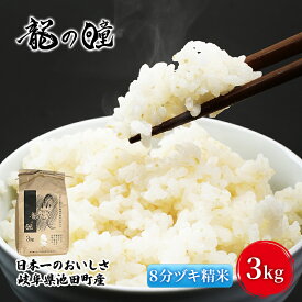 【ふるさと納税】米 3kg 龍の瞳 池田町産 日本人が最も好む希少米 大粒 栄養価の高い 8分づき 分つき精米 お米 おこめ こめ コメ ごはん ご飯 低農薬栽培 岐阜県 　お届け：2026年3月31日まで