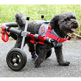 【ふるさと納税】小型犬用二輪車椅子（背丈23～35cm　体重8キロ以下） 【!寄附前に事業者へ相談必要!】　【雑貨 日用品】
