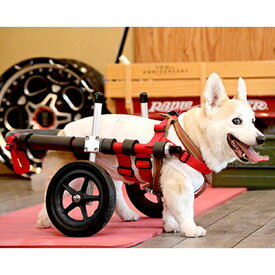 【ふるさと納税】中型犬用二輪車椅子（背丈33～65cm　体重22キロ以下） 【!寄附前に事業者へ相談必要!】　【雑貨 日用品】