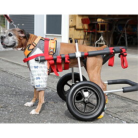 【ふるさと納税】大型犬用二輪車椅子（背丈50～75cm　体重40キロ以下） 【!寄附前に事業者へ相談必要!】　【雑貨 日用品】
