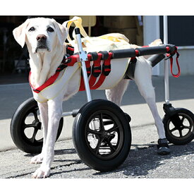 【ふるさと納税】大型犬用三輪車椅子（背丈50～75cm　体重40キロ以下） 【!寄附前に事業者へ相談必要!】　【雑貨 日用品】