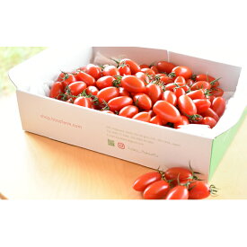 【ふるさと納税】HOSONOFARMプレミアムミニトマト「スピカ」1kg　【野菜 ミニトマト】