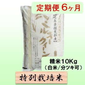 【ふるさと納税】特別栽培米★[定期便] 6カ月★毎月 精米10kg（白米/7分/5分ツキ可）【ミルキークイーン】　玄米は別に出品 お米 令和7年産 低アミロース モチモチ お弁当 おにぎり 安心 安全 美味しい 糖質 　お届け：2025年10月下旬～2026年8月末日