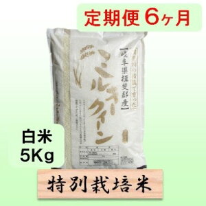 �y�ӂ邳�Ɣ[�Łz���ʍ͔|�ā�[�����] 6�J�������� ����5kg �y�~���L�[�N�C�[���z ���� �ߘa7�N�Y ��A�~���[�X ���`���` ���ٓ� ���ɂ��� ���S ���S �������� ���� �@���͂��F2025�N10�����{