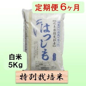 yӂ邳Ɣ[Łzʍ͔|ā[] 6J 5kg yncVz  ߘa7NY ̂ 嗱 AbT i  uߕ S S  @͂F2025N11{`2026N8