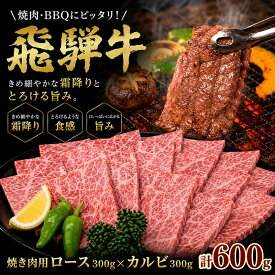 【ふるさと納税】ふるさと納税　飛騨牛 ロース＆カルビ 焼肉 セット 計600g A5 和牛 牛肉 お肉 ロース カルビ 食べ比べ 焼肉用 バーベキュー BBQ
