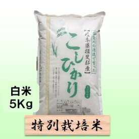 【ふるさと納税】特別栽培米★白米5kg 【コシヒカリ】 お米 ブランド米 銘柄米 精米 ご飯 おにぎり お米の王様 バランス 　お届け：2025年10月下旬～2026年8月末日