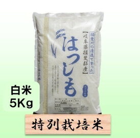 【ふるさと納税】特別栽培米★白米5kg 【ハツシモ】 お米 ブランド米 銘柄米 精米 ご飯 おにぎり アッサリ 幻のお米 大粒 　お届け：2025年11月下旬～2026年8月末日