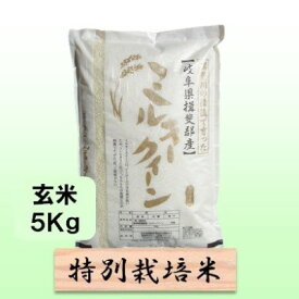 【ふるさと納税】特別栽培米★玄米5kg 【ミルキークイーン】 お米 ブランド米 銘柄米 ご飯 おにぎり モチモチ 低アミロース米 冷めても美味しい 　お届け：2025年10月上旬～2026年9月下旬
