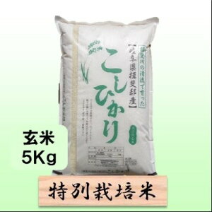 �y�ӂ邳�Ɣ[�Łz���ʍ͔|�ā�����5kg �y�R�V�q�J���z ���� �u�����h�� ������ ���� ���ɂ��� �o�����X���ǂ� ���Ẳ��l �@���͂��F2025�N10����{�`2026�N9�����{