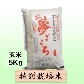 【ふるさと納税】特別栽培米★玄米5kg 【夢ごこち】 お米 ブランド米 銘柄米 ご飯 おにぎり モッチリ 甘い 低アミロース米 冷めても美味しい 　お届け：2025年10月上旬～2026年9月下旬
