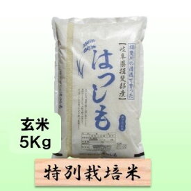 【ふるさと納税】特別栽培米★玄米5kg 【ハツシモ】 お米 ブランド米 銘柄米 ご飯 おにぎり アッサリ 幻のお米 大粒 　お届け：2025年11月上旬～2026年9月下旬