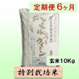 【ふるさと納税】特別栽培米★[定期便] 6カ月★毎月 玄米10kg【ミルキークイーン】 お米 ブランド米 銘柄米 ご飯 モチモチ 低アミロース米 冷めても美味しい 　お届け：2025年10月上旬～2026年9月下旬
