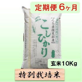 【ふるさと納税】特別栽培米★[定期便] 6カ月★毎月 玄米10kg【コシヒカリ】 お米 ブランド米 銘柄米 ご飯 バランスが良い お米の王様 　お届け：2025年10月上旬～2026年9月下旬