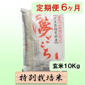 �y�ӂ邳�Ɣ[�Łz���ʍ͔|�ā�[�����] 6�J�������� ����10kg�y���������z ���� �u�����h�� ������ ���� ���b�`�� ��A�~���[�X�� ��߂Ă��������� �@���͂��F2025�N10����{�`2026�N9�����{