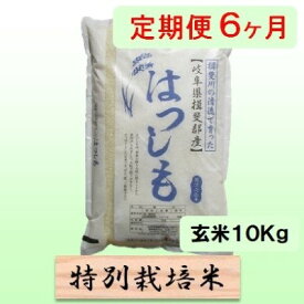 【ふるさと納税】特別栽培米★[定期便] 6カ月★毎月 玄米10kg【ハツシモ】 お米 ブランド米 銘柄米 ご飯 アッサリ 幻のお米 大粒 　お届け：2025年11月上旬～2026年10月下旬