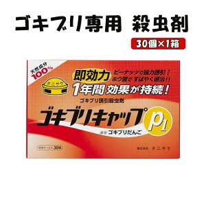 yӂ邳Ɣ[ŁzSLuLbvP1 SLup E 1i30j