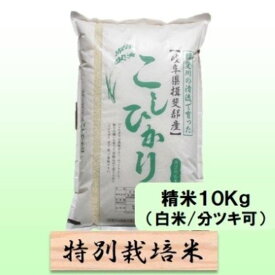 【ふるさと納税】【令和7年産】特別栽培米 10kg【白米、7分ツキ】（コシヒカリ）　お届け：2025年10月上旬～2026年8月下旬まで