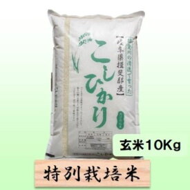 【ふるさと納税】【令和7年産】特別栽培米 10kg【玄米】（コシヒカリ）　お届け：2025年10月上旬～2026年8月下旬まで