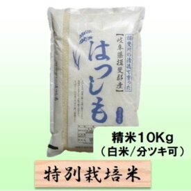 【ふるさと納税】【令和7年産】特別栽培米 10kg【白米、7分ツキ】（ハツシモ）　お届け：2025年11月上旬～2026年8月下旬まで
