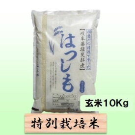 【ふるさと納税】【令和7年産】特別栽培米 10kg【玄米】（ハツシモ）　お届け：2025年11月上旬～2026年8月下旬まで