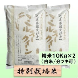 【ふるさと納税】【令和7年産】特別栽培米 20kg【白米、7分ツキ】（ミルキークイーン）　お届け：2025年10月上旬～2026年8月下旬まで